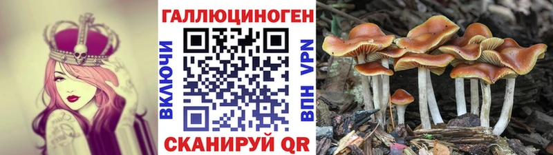 Псилоцибиновые грибы мицелий  Купить  Славск 